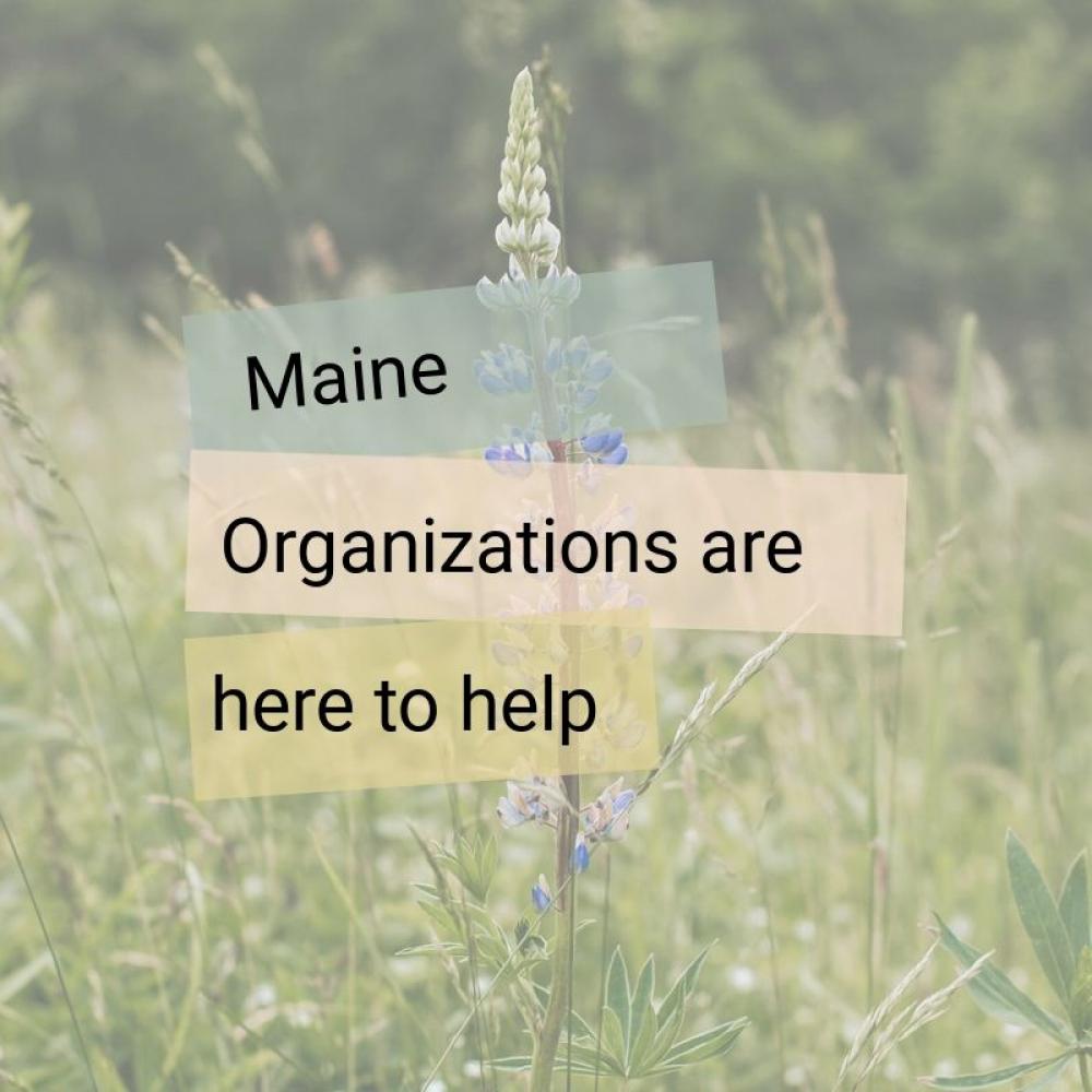 maine organizations are here to help